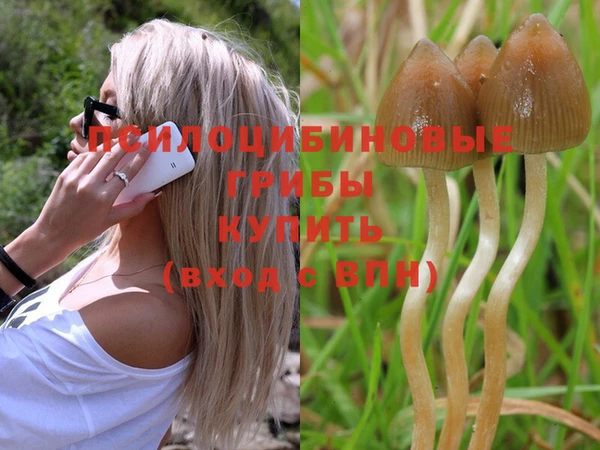 винт Абаза