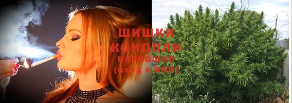 винт Абаза