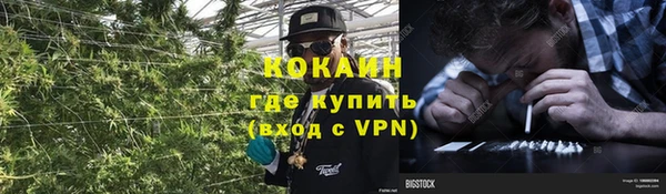 винт Абаза