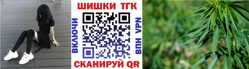 Бошки Шишки гибрид Зубцов